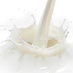 乳製品の画像