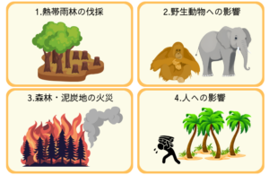 パーム油の問題
