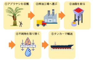 パーム油生産工程詳細