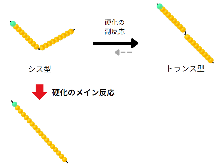 硬化のメイン反応と副反応