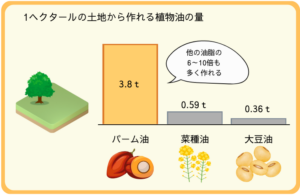 1ヘクタールの土地から作れる植物油の量
