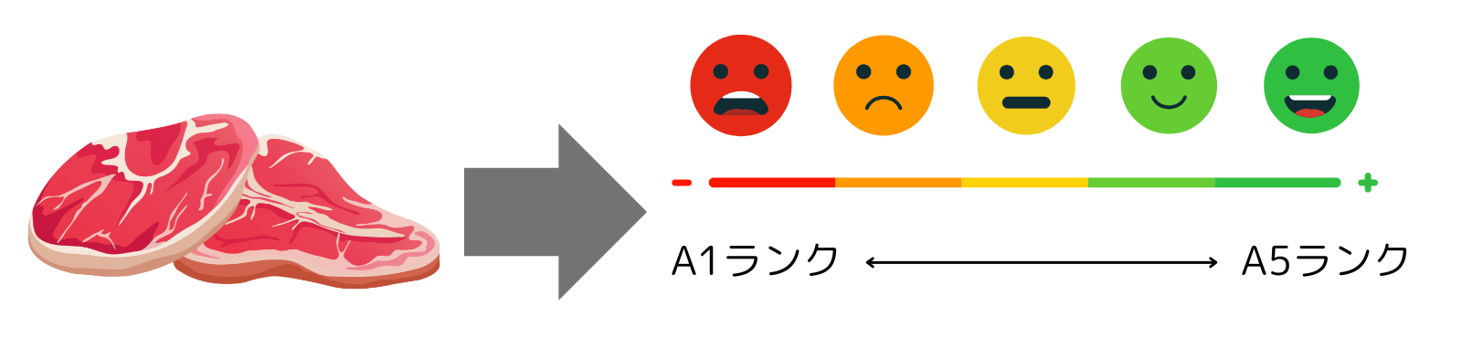 格付け型官能評価