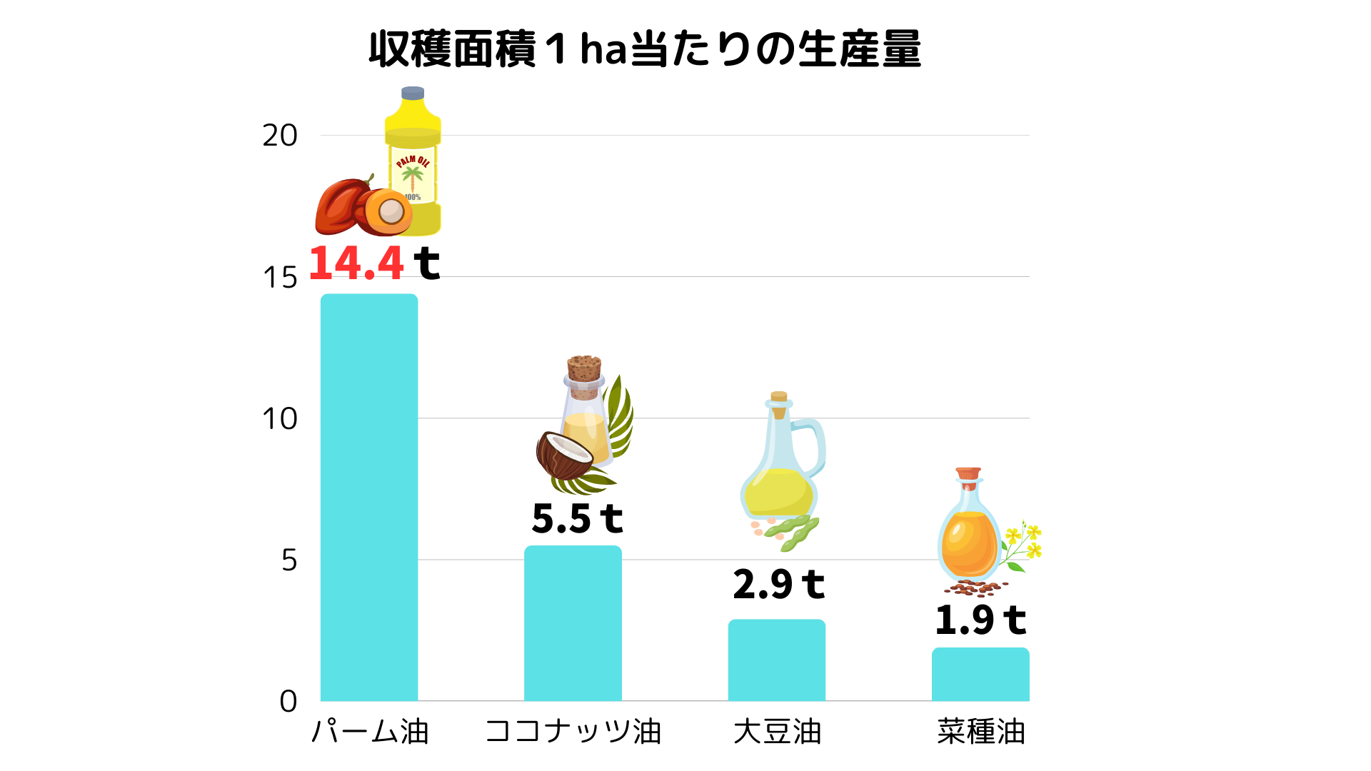 収穫面積1ha当たりの生産量