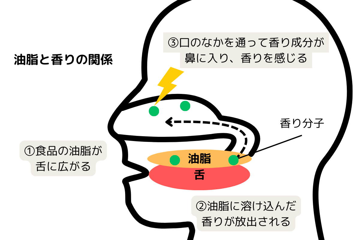 油脂と香り