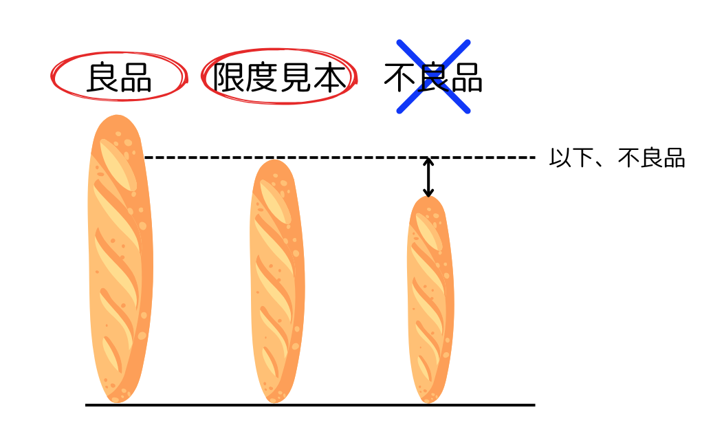 限度見本
