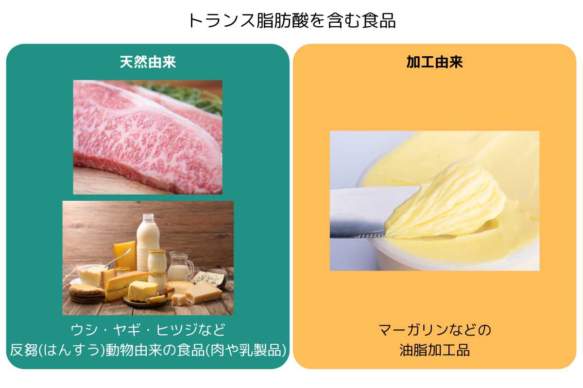 二つのトランス脂肪酸