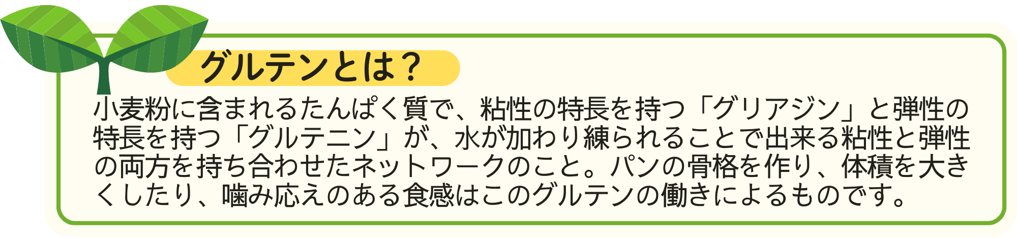 グルテンについての説明