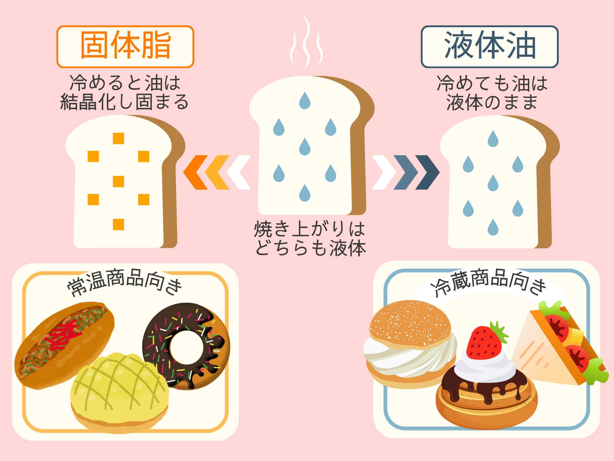 固形脂と液体油を使用したパン商品のイメージ