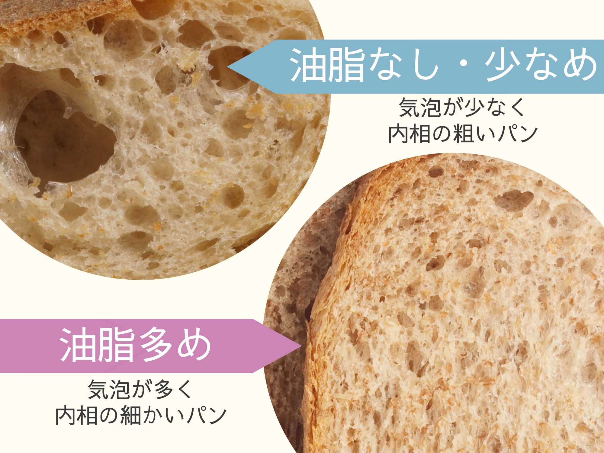 油脂の少ないパンと多いパンの内相の違い