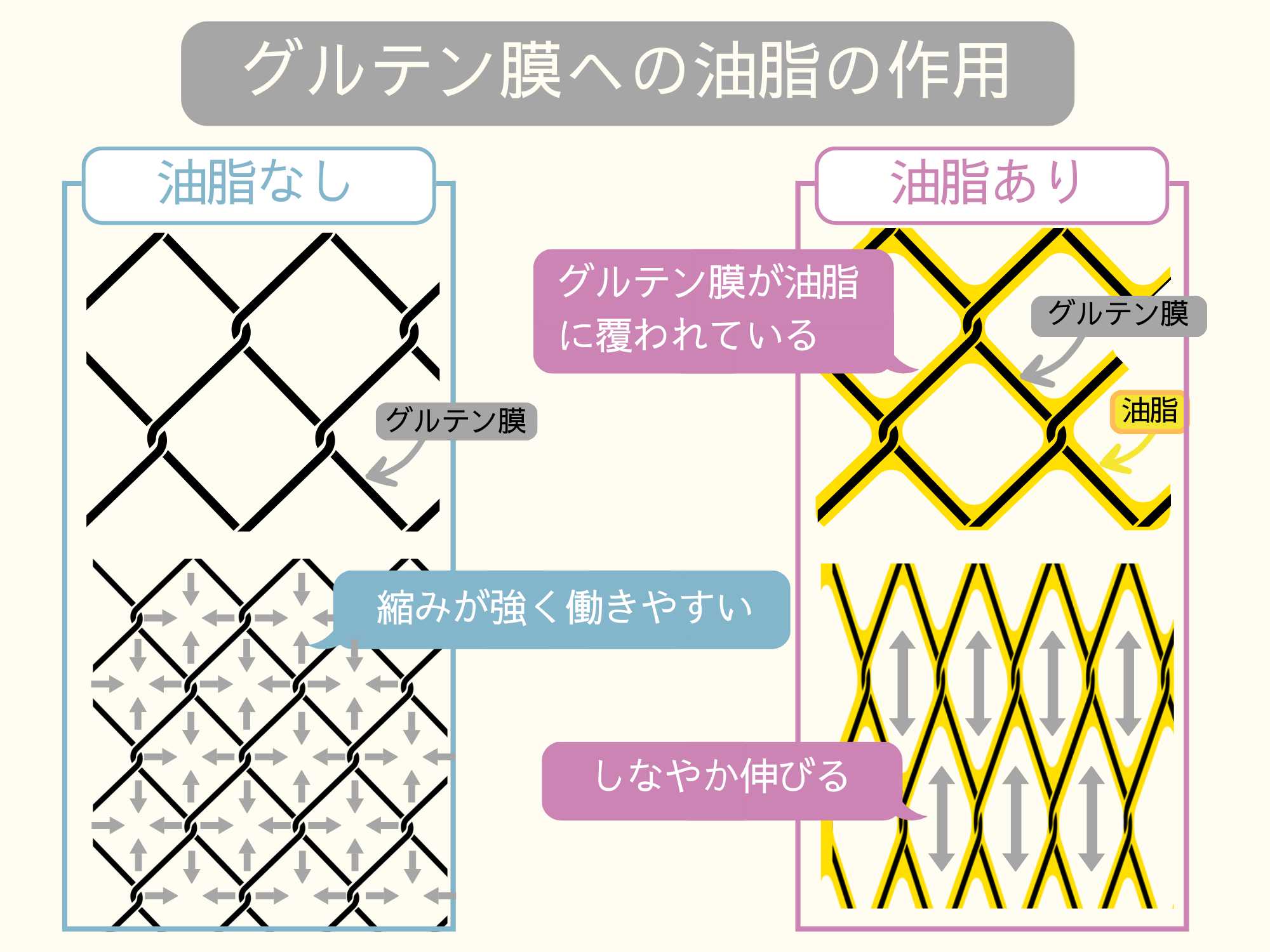 油脂を使用した際のグルテン膜への作用イメージ