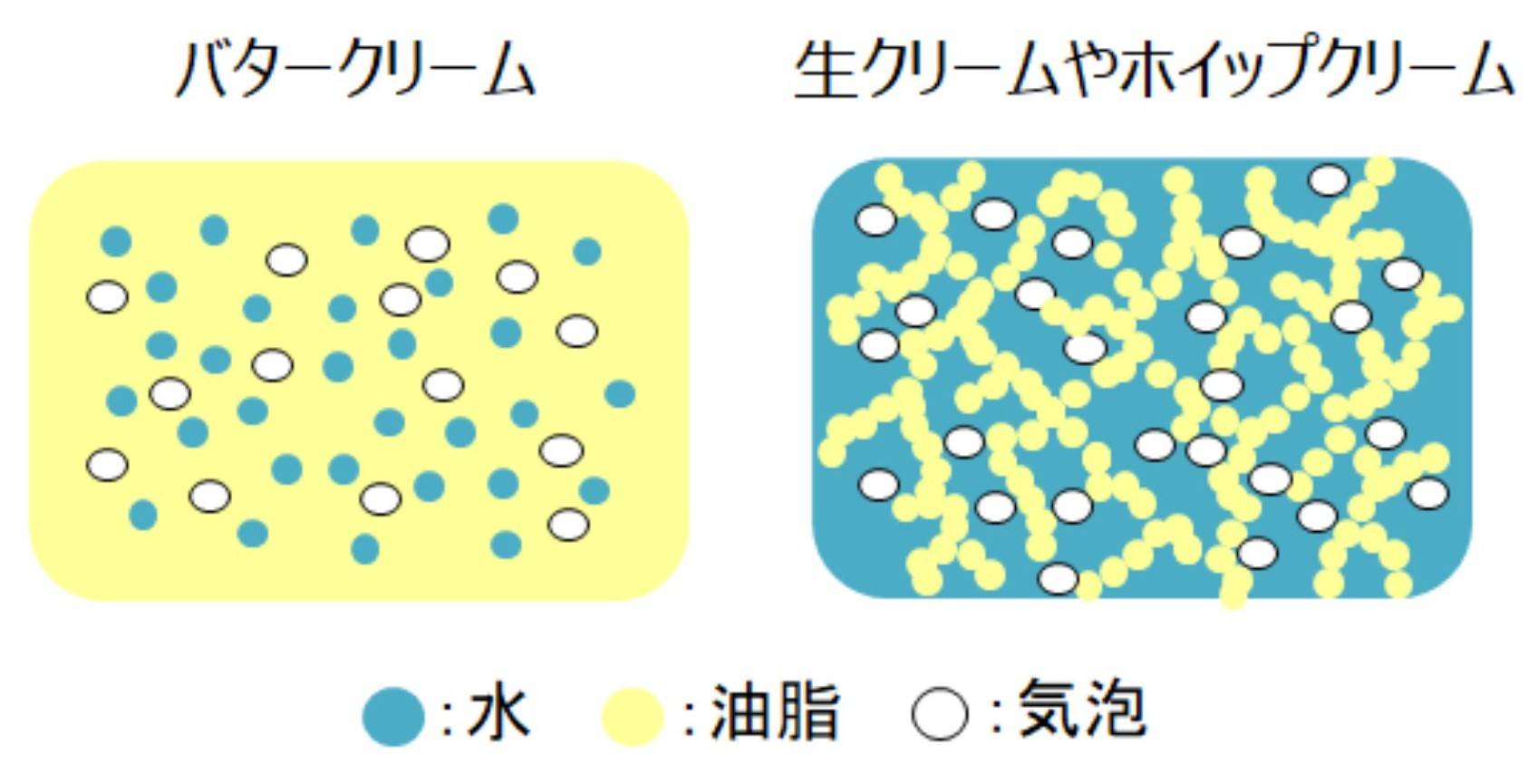バタークリームとホイップクリームの構造のイメージ図