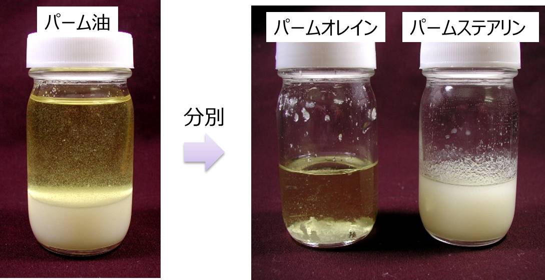 パーム油の分別