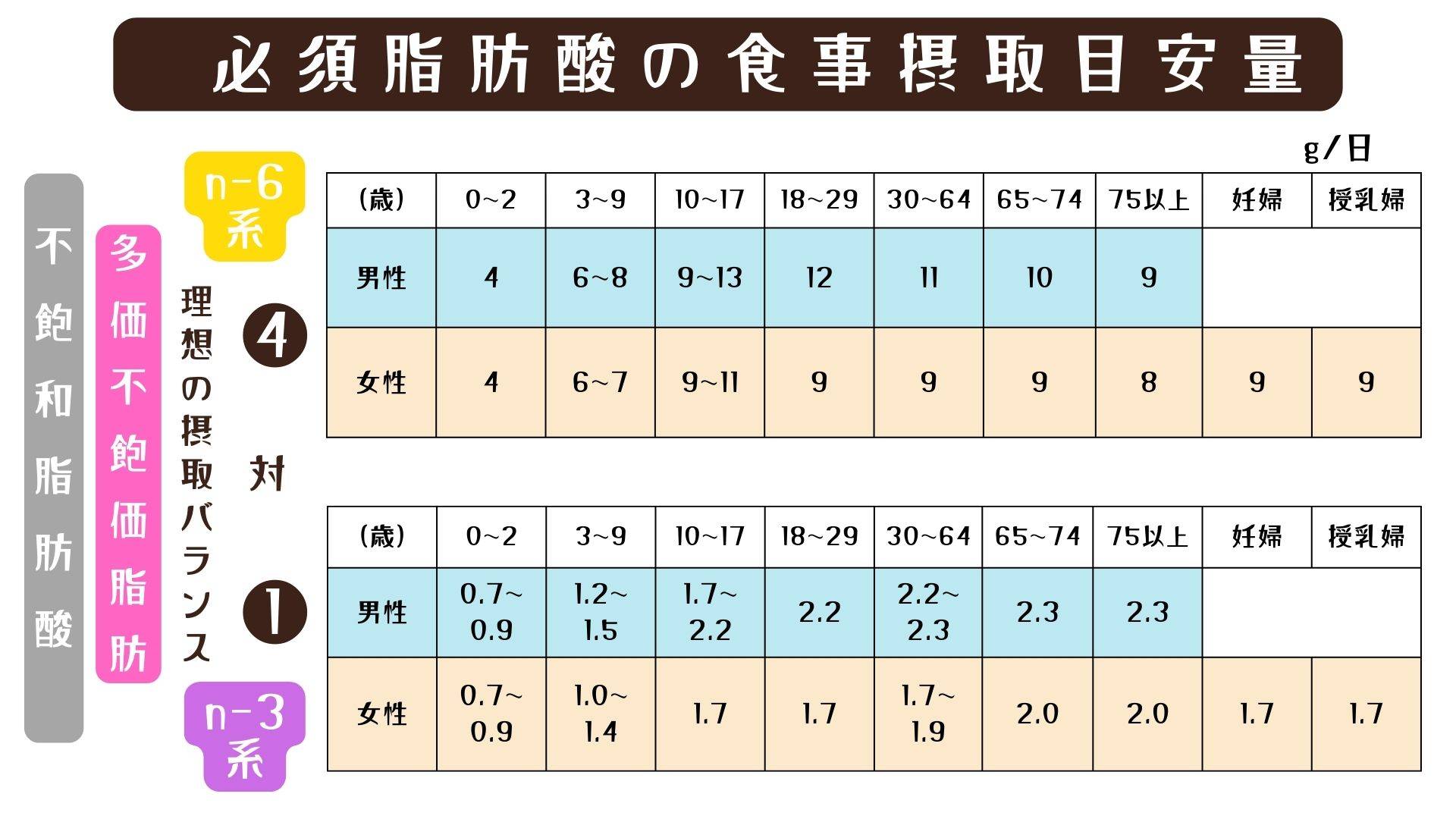 必須脂肪酸の食事目安量