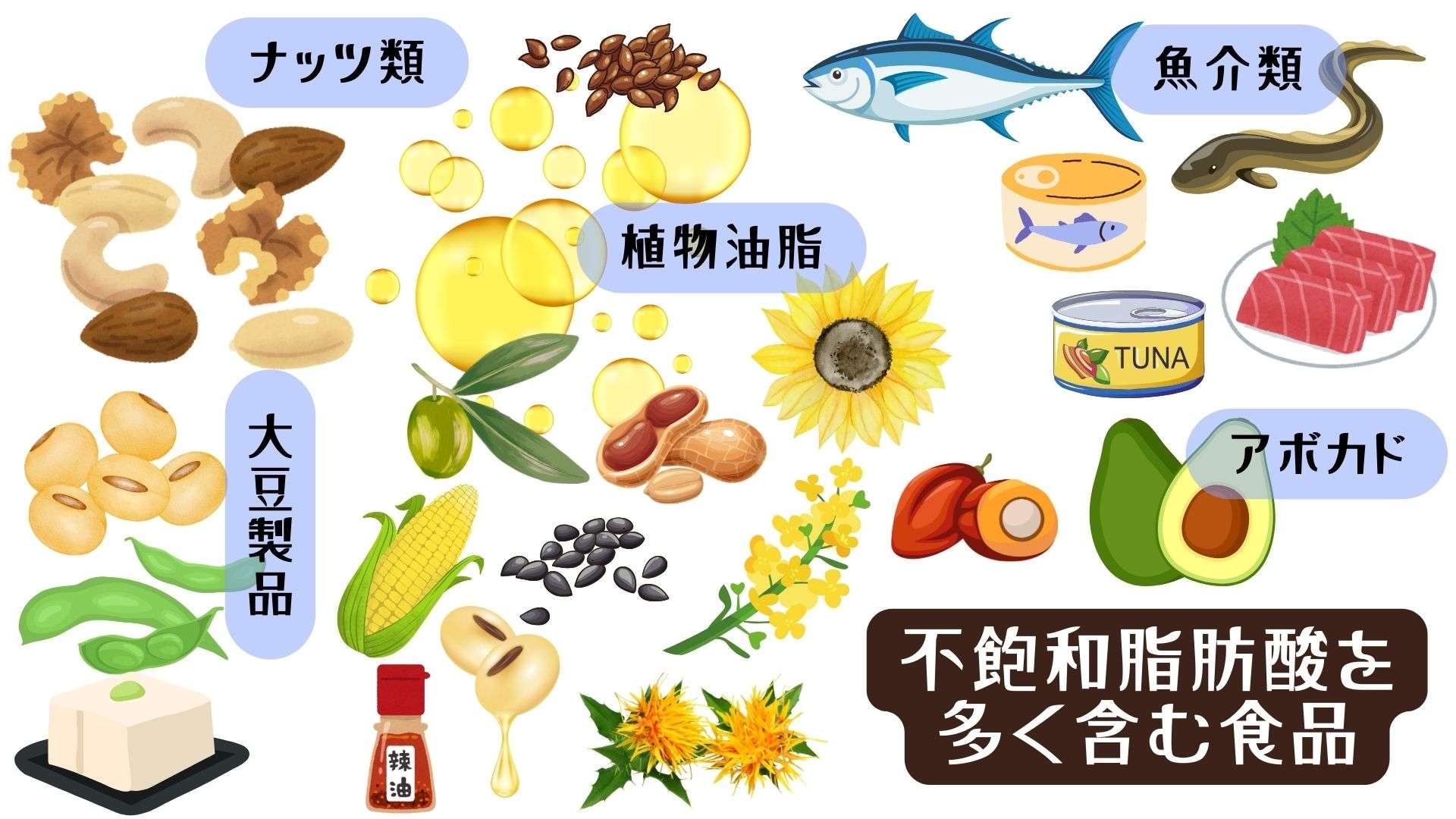 不飽和脂肪酸を多く含む食品