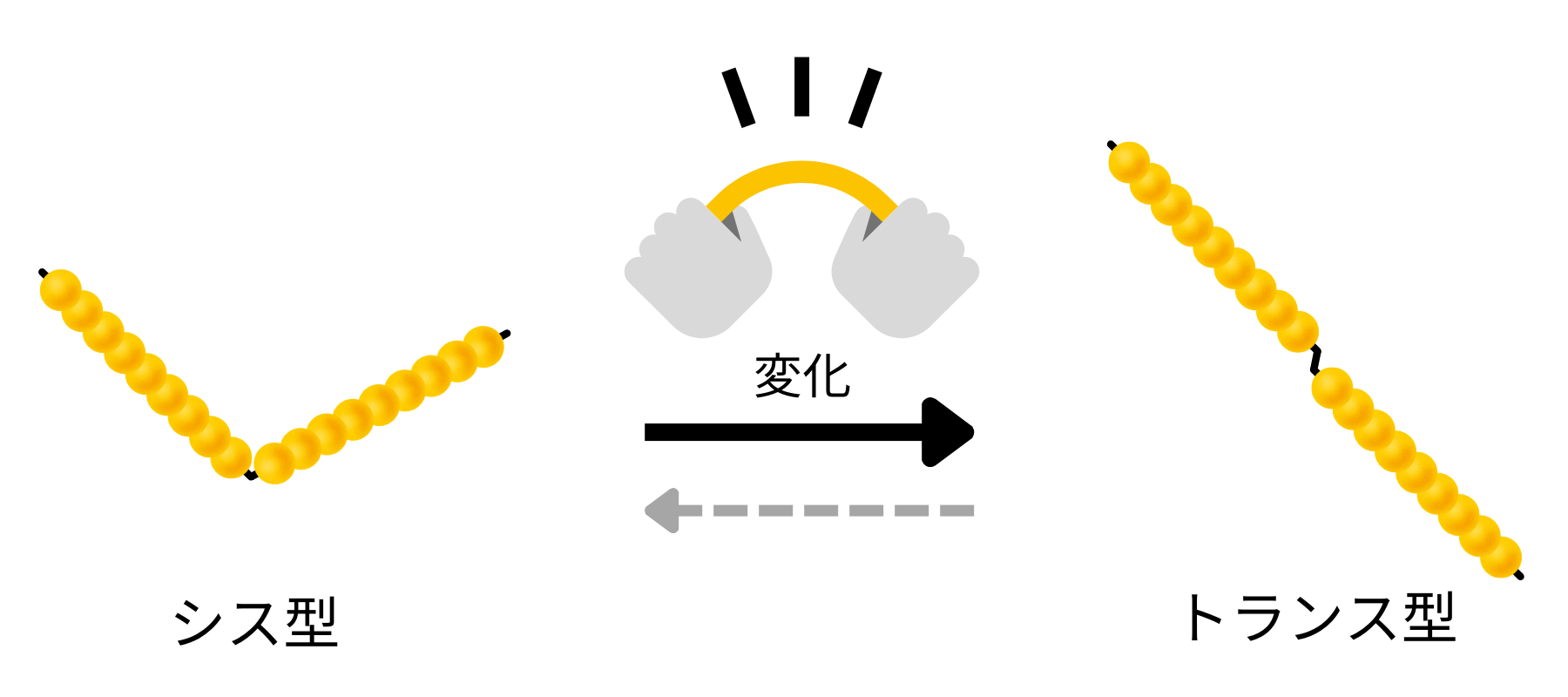 シス型かたトランス脂肪酸への変化