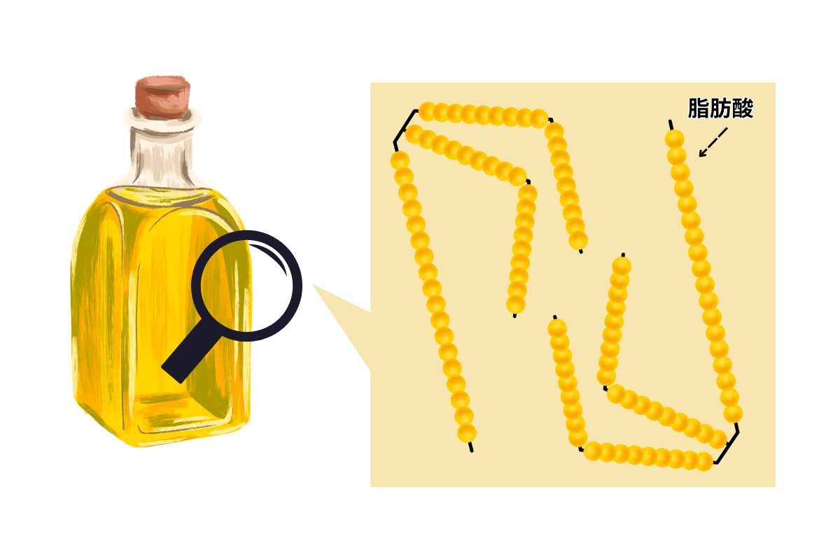 油脂について