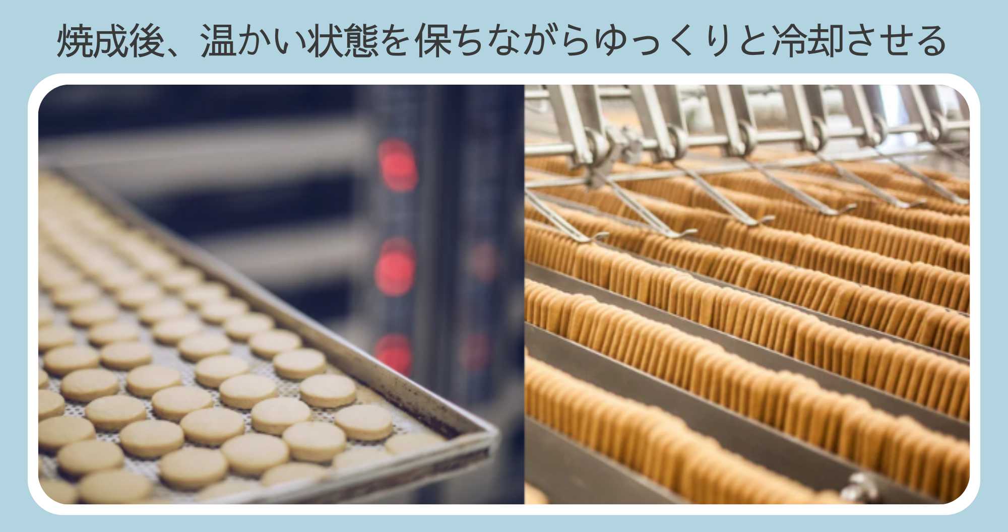ビスケットをゆっくり冷却する