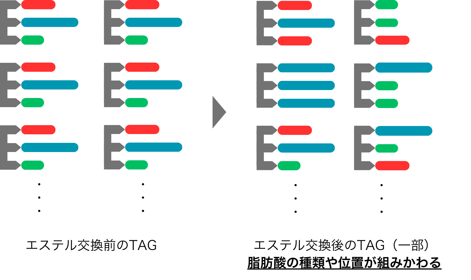 エステル交換前、後のTAG