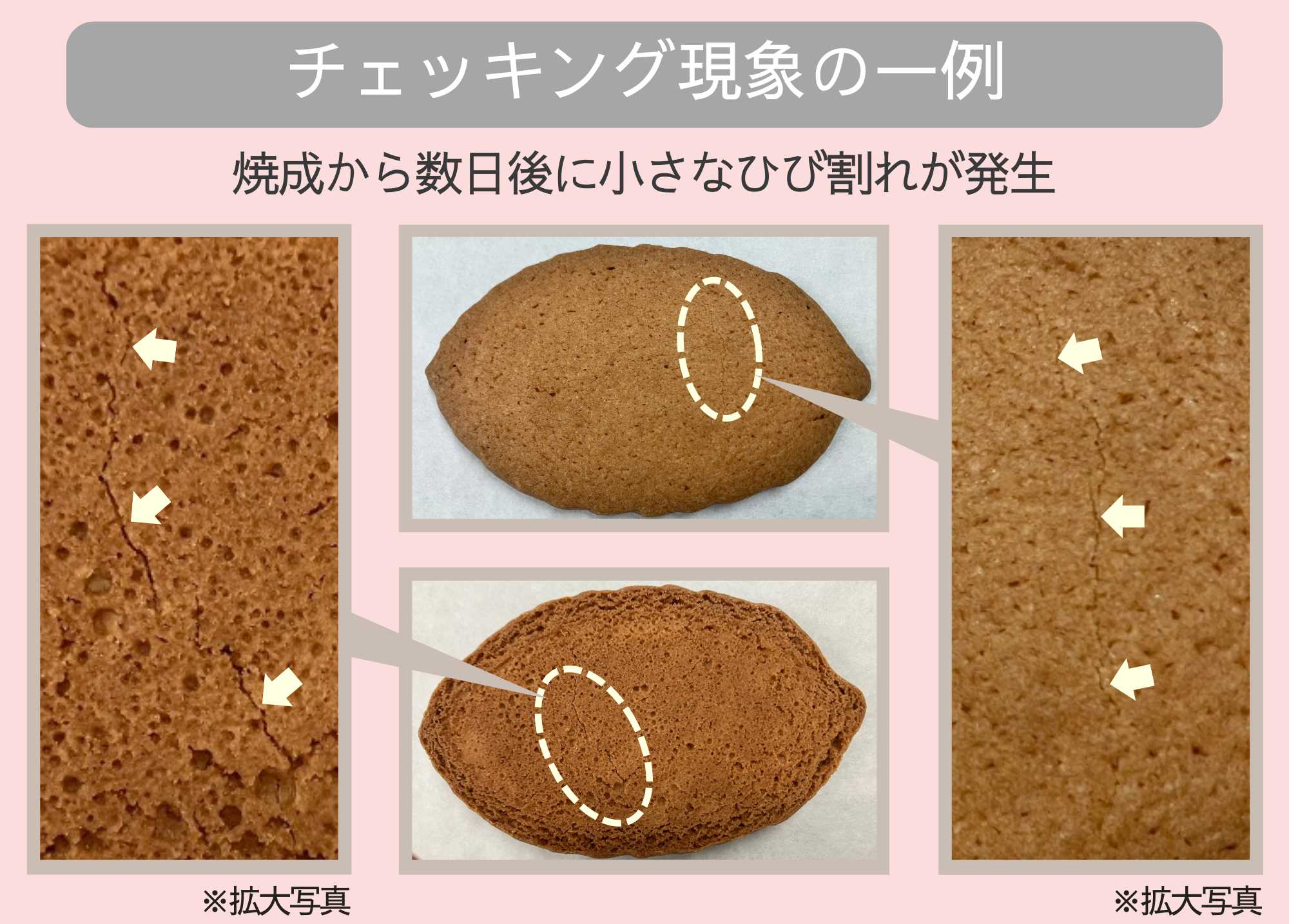 ビスケットのチェッキング例