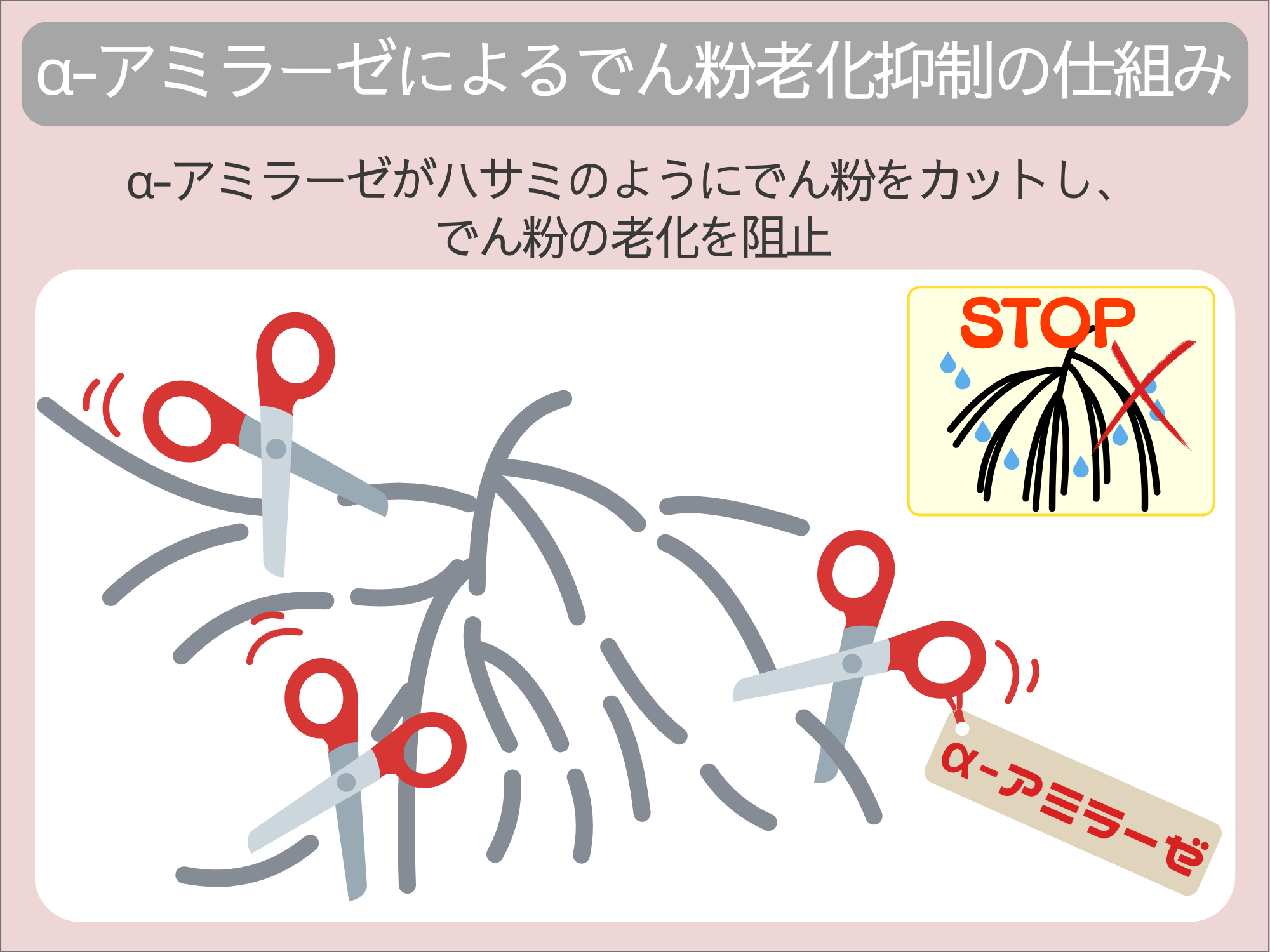 α-アミラーゼによるでん粉老化抑制の仕組み