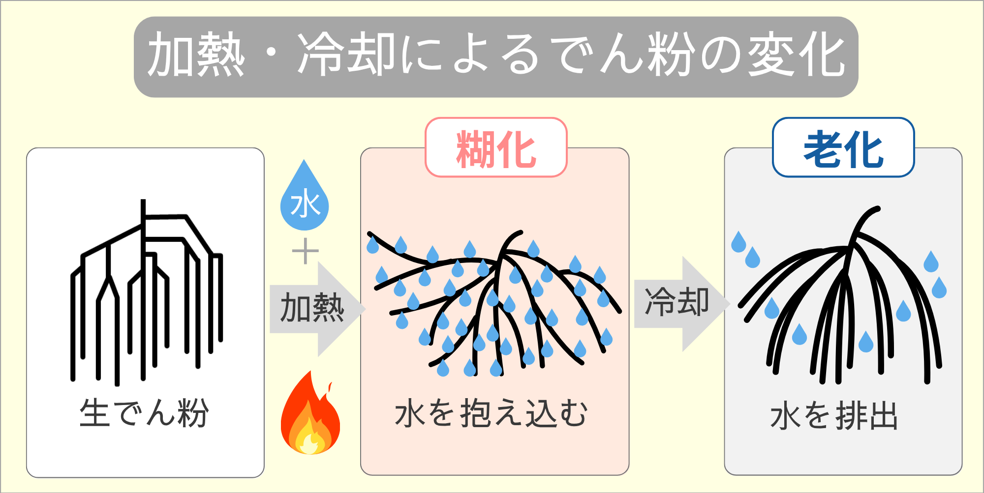 加熱・冷却による澱粉の変化