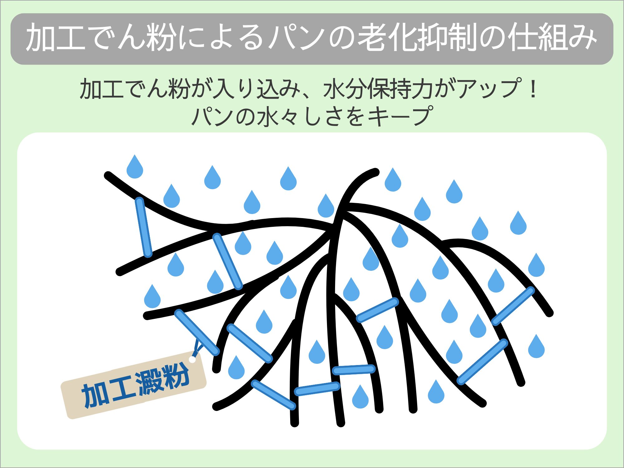 加工でん粉によるパンの老化抑制の仕組み