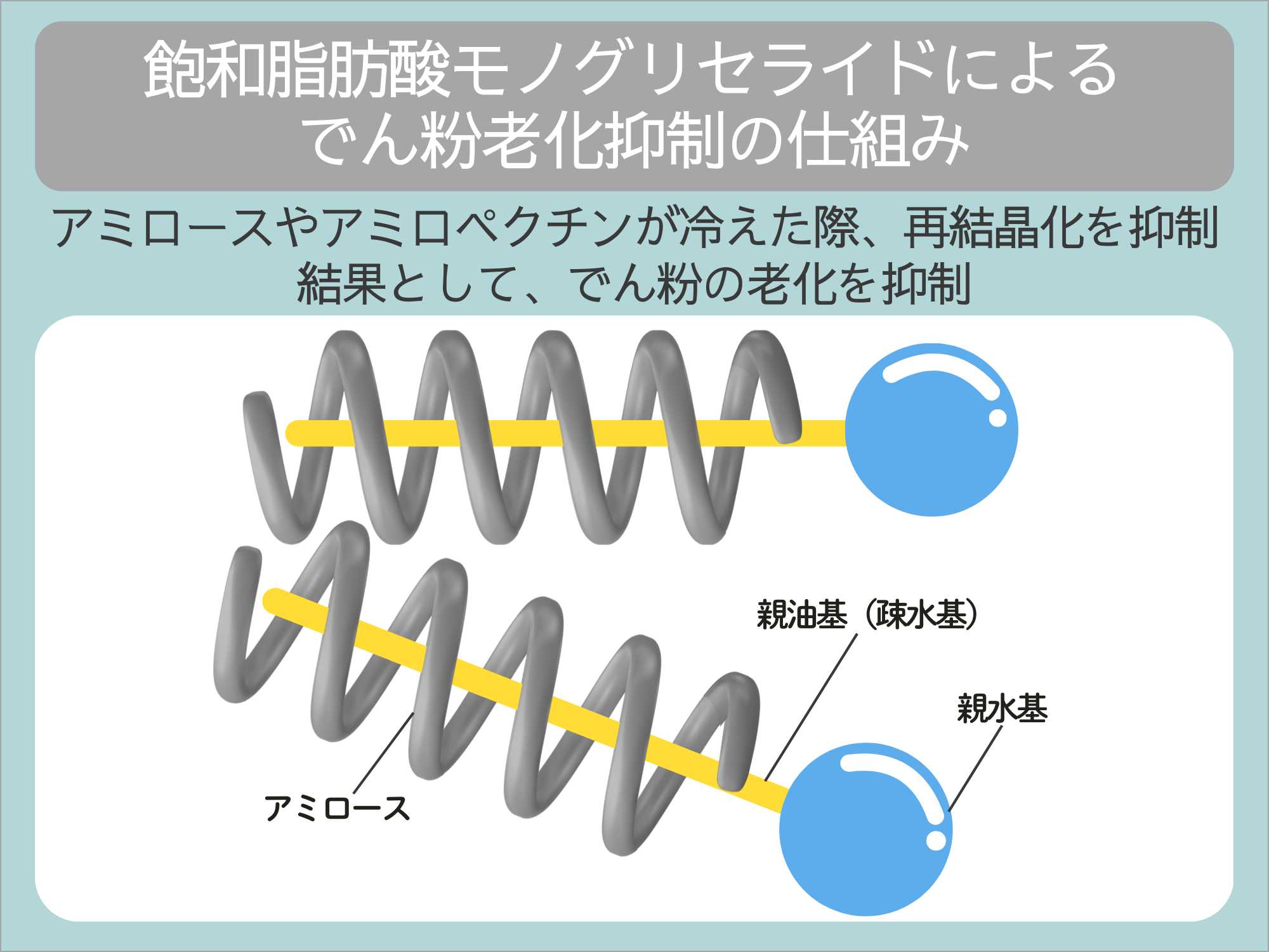 飽和脂肪酸モノグリセライドによるでん粉老化抑制の仕組み