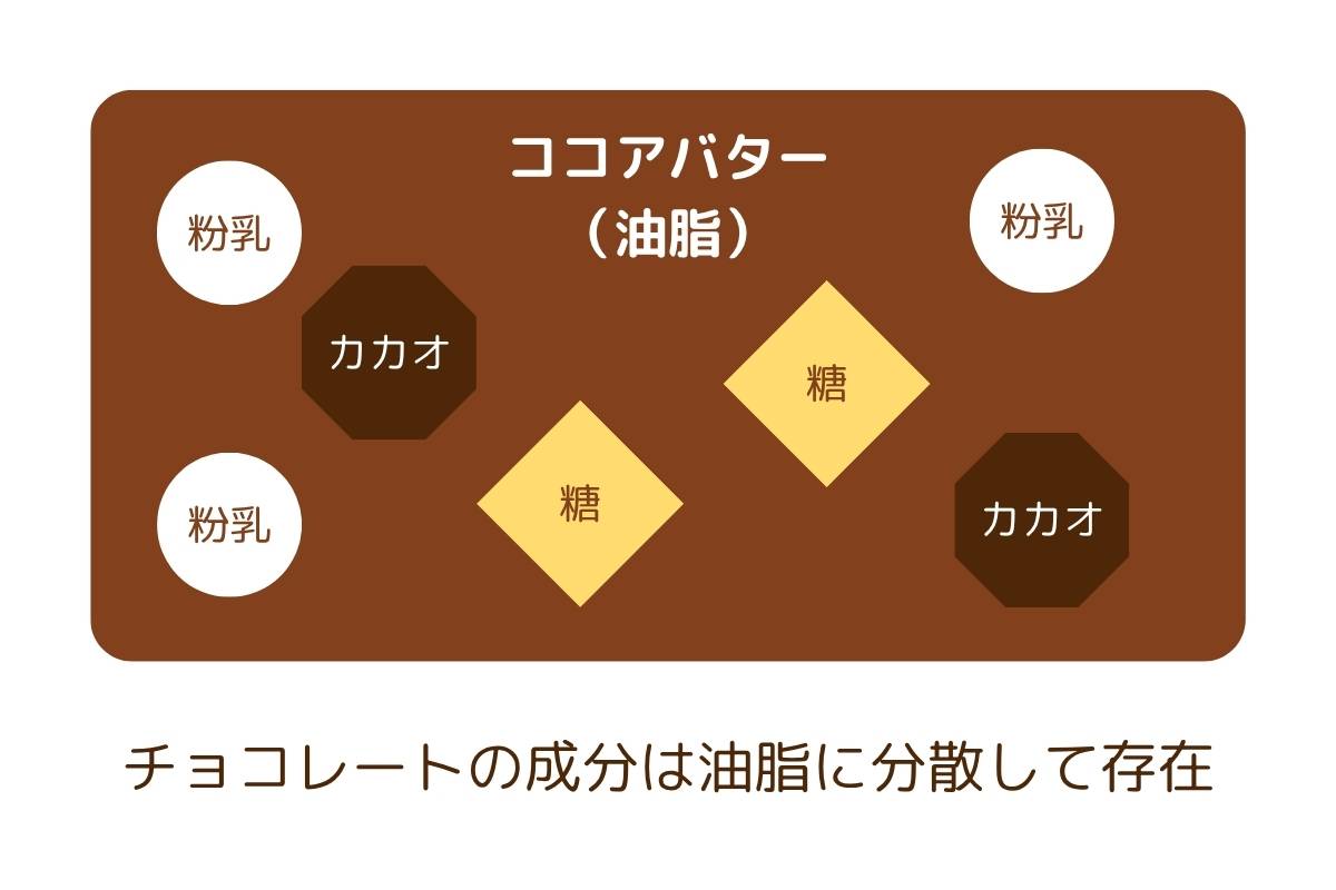 チョコレートの構造