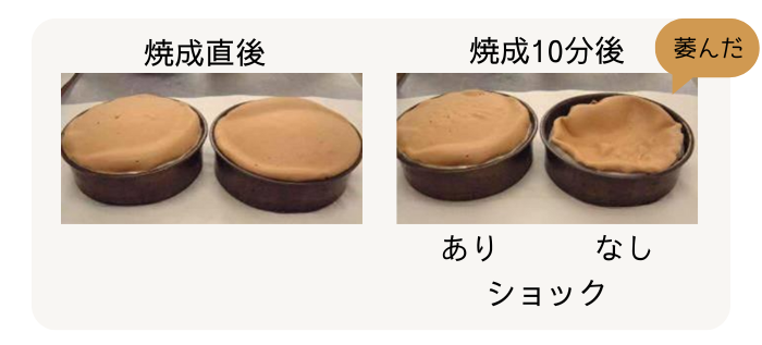 焼成直後と焼成10分後のショックあり・なしのスポンジケーキの写真