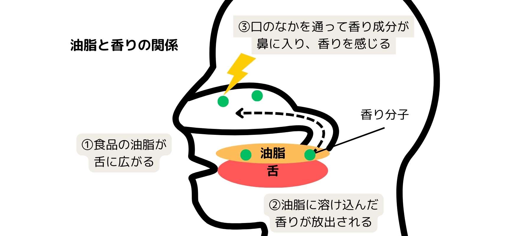 レトロネーザルアロマ