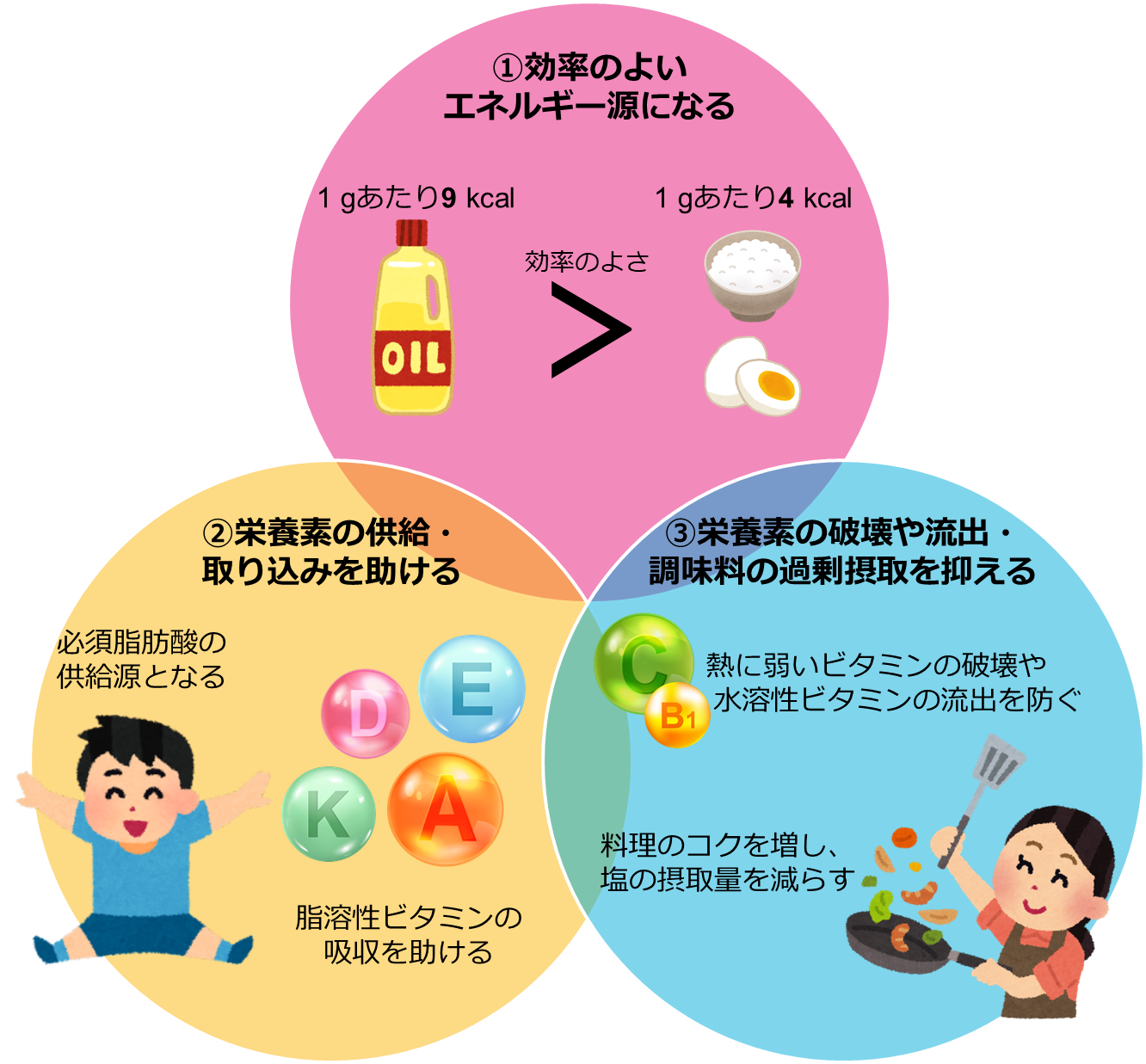 食用油脂に共通する健康促進効果