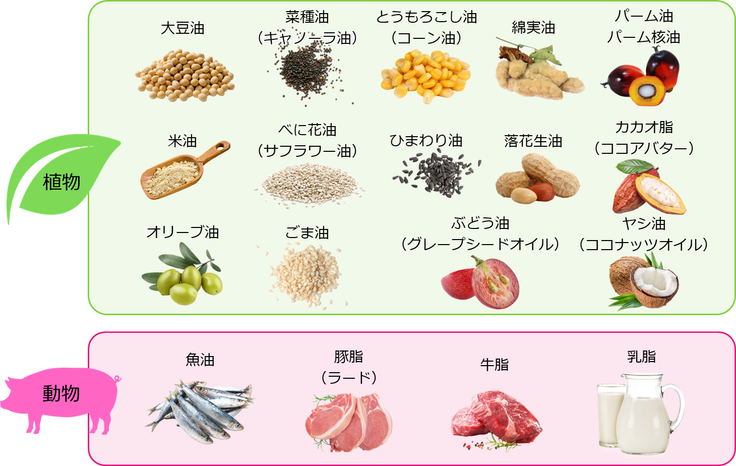 植物油脂と動物油脂