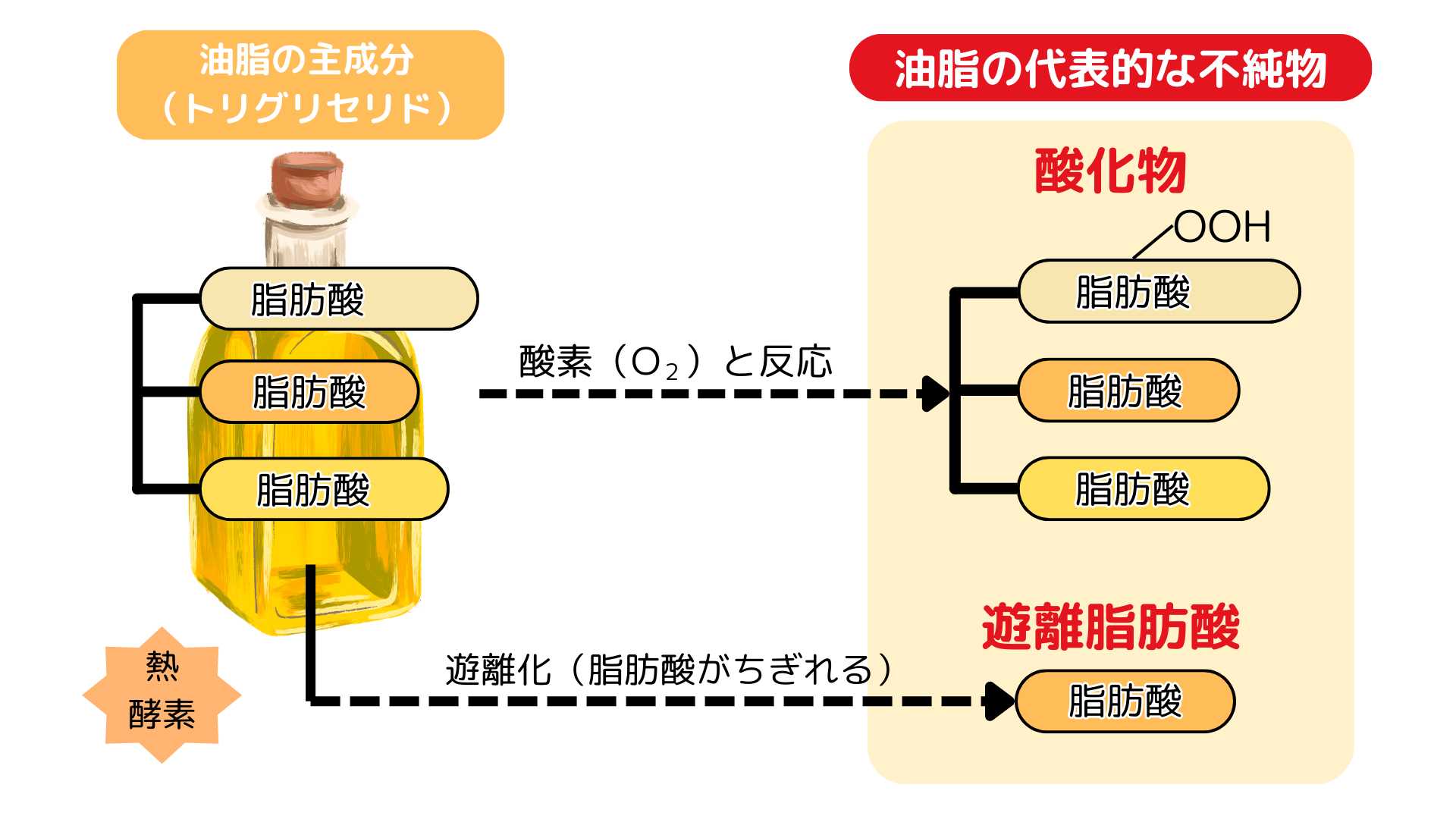 油脂が酸化すると酸化物、分解すると遊離脂肪酸が生成する