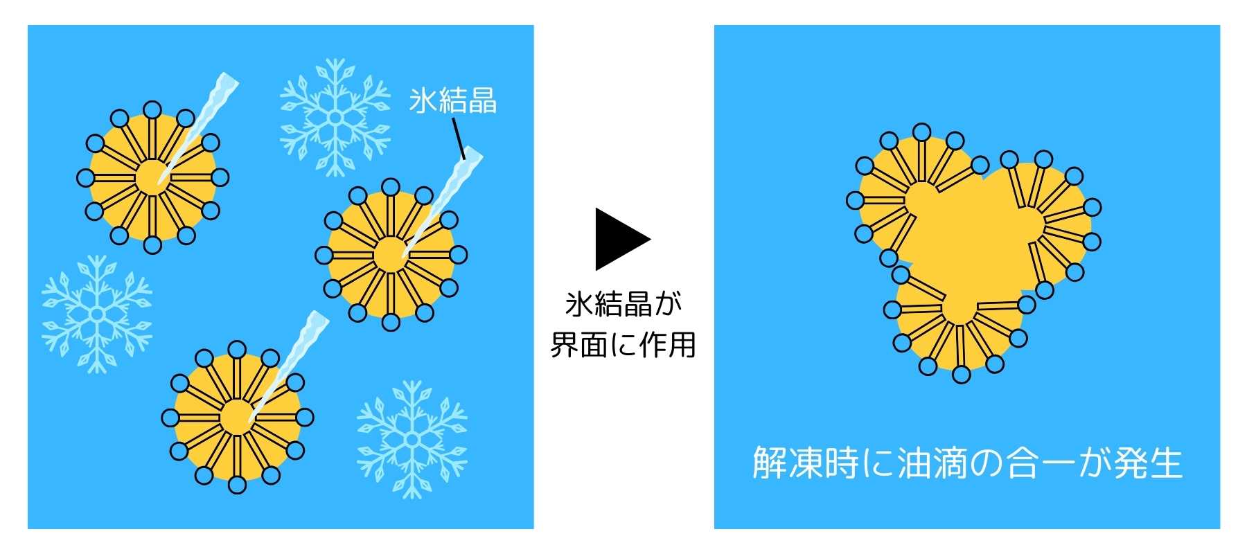 凍結による乳化破壊