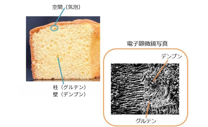 スポンジケーキの構造