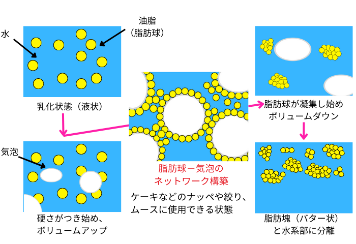 泡立ちのメカニズム（ホイッピング現象）