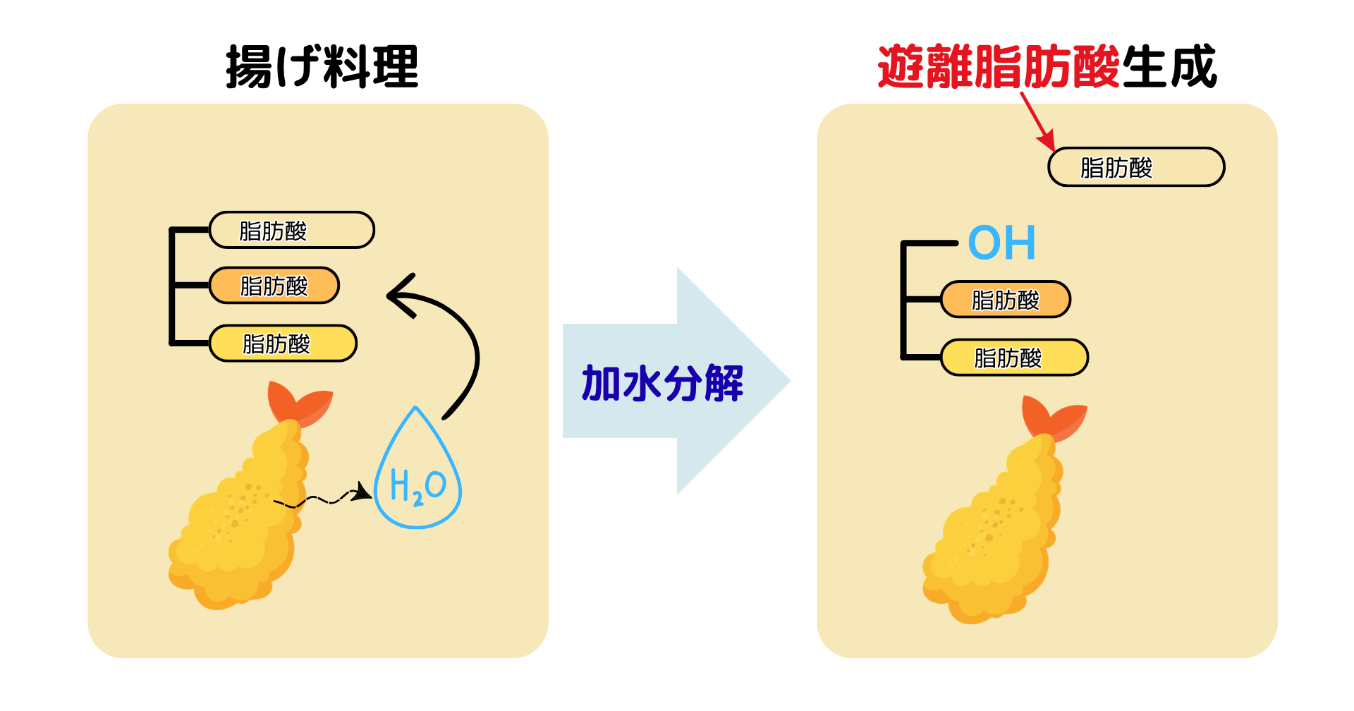 揚げ料理で油脂が加水分解し、遊離脂肪酸が生成する