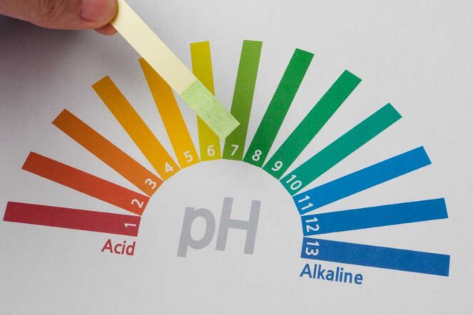 pHを使いこなす！食品開発における活用法を分析のプロが解説