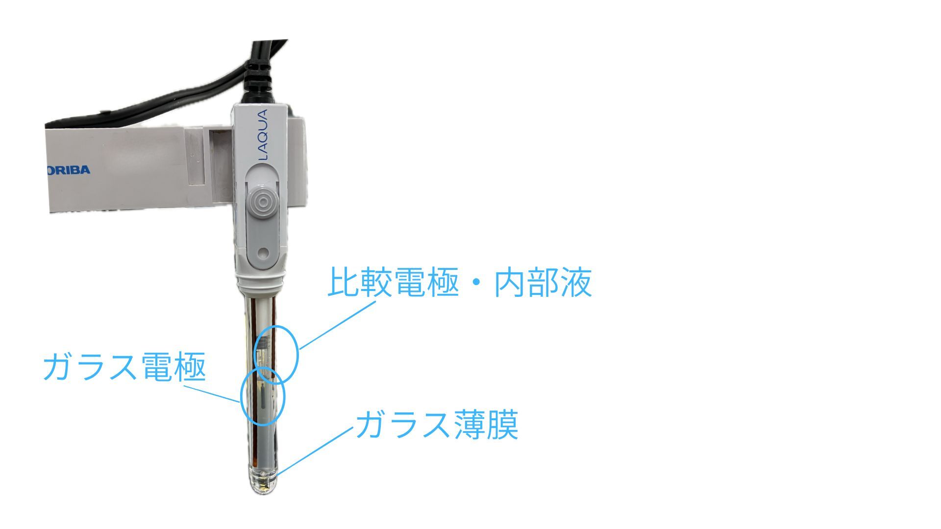 ガラス電極、比較電極、内部液、ガラス薄膜の場所の説明