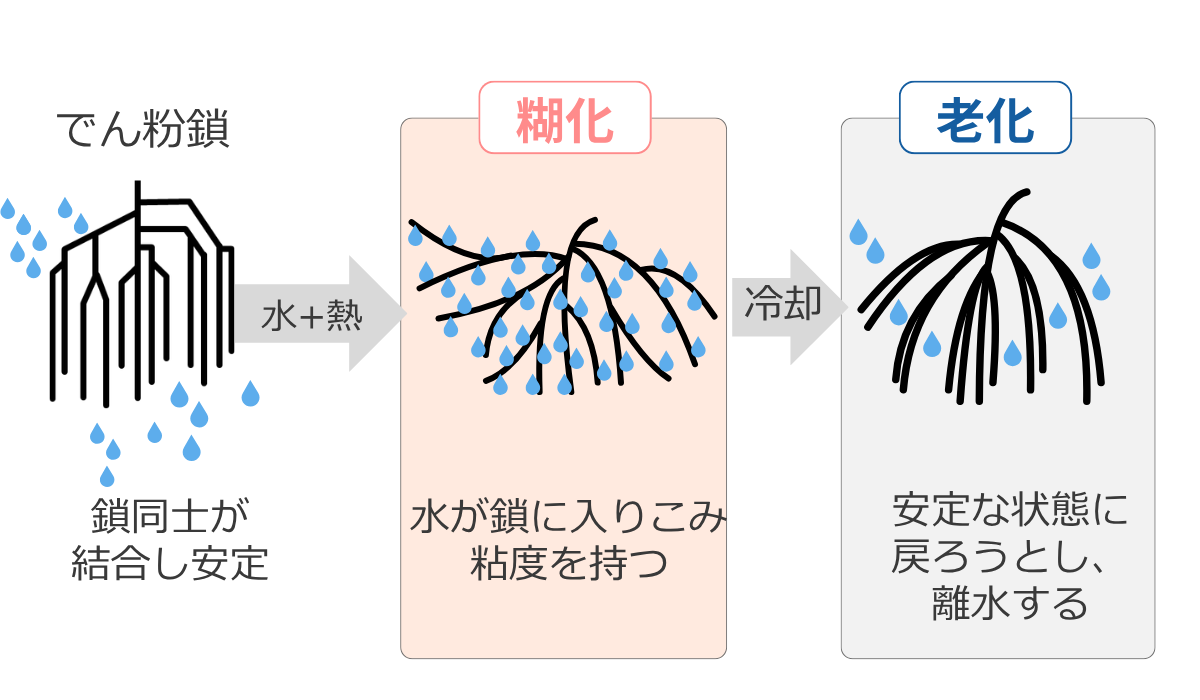 でん粉の糊化と老化のメカニズムを示したイメージ図。左から順に3段階で変化を示す。第1段階は『でん粉鎖』で、鎖同士が結合し安定した状態。第2段階は『糊化』で、水と熱を加えることで水が鎖に入り込み粘度を持つ状態。第3段階は『老化』で、冷却によって安定な状態に戻ろうとし離水する状態。